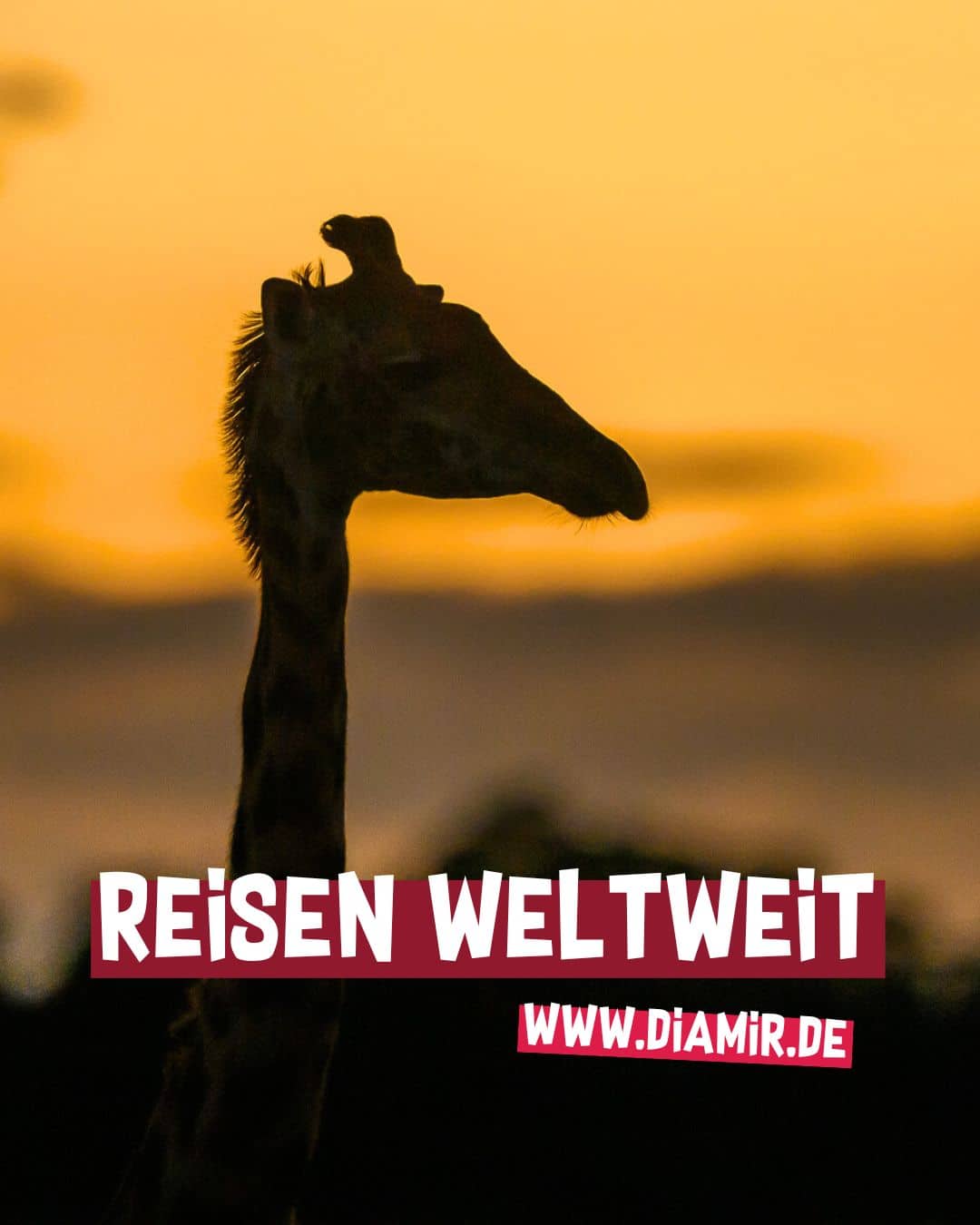 Reisen Weltweit - Diamir